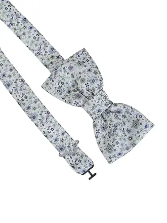 SEIDENFALTER | Papillon | grün