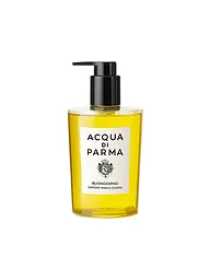 ACQUA DI PARMA | Buongiorno Hand & Body Wash 300ml | Senza colore
