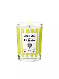 ACQUA DI PARMA | Candela - Ulivo Limited Edition 200g | Senza colore