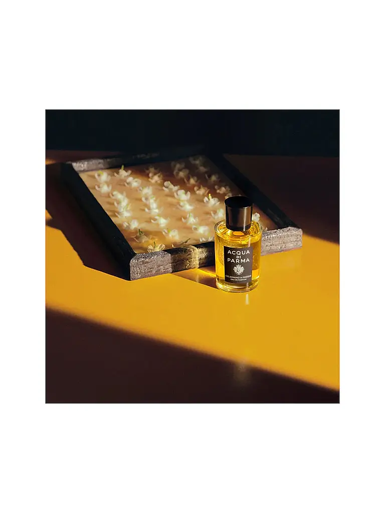 ACQUA DI PARMA | Gelsomino A Freddo Eau de Parfum 100ml | Senza colore