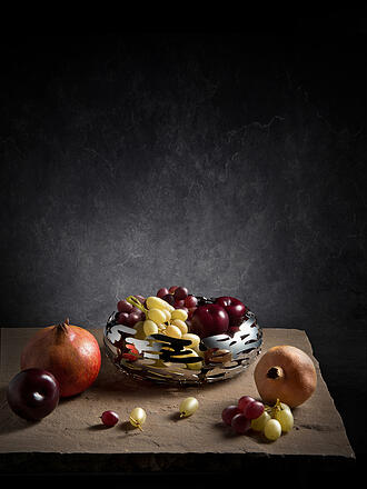 ALESSI | Ciotola Barknest 21cm acciaio inox