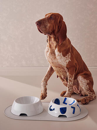 ALESSI | Ciotola per cani 400ml Itsumo Pet Yunoki