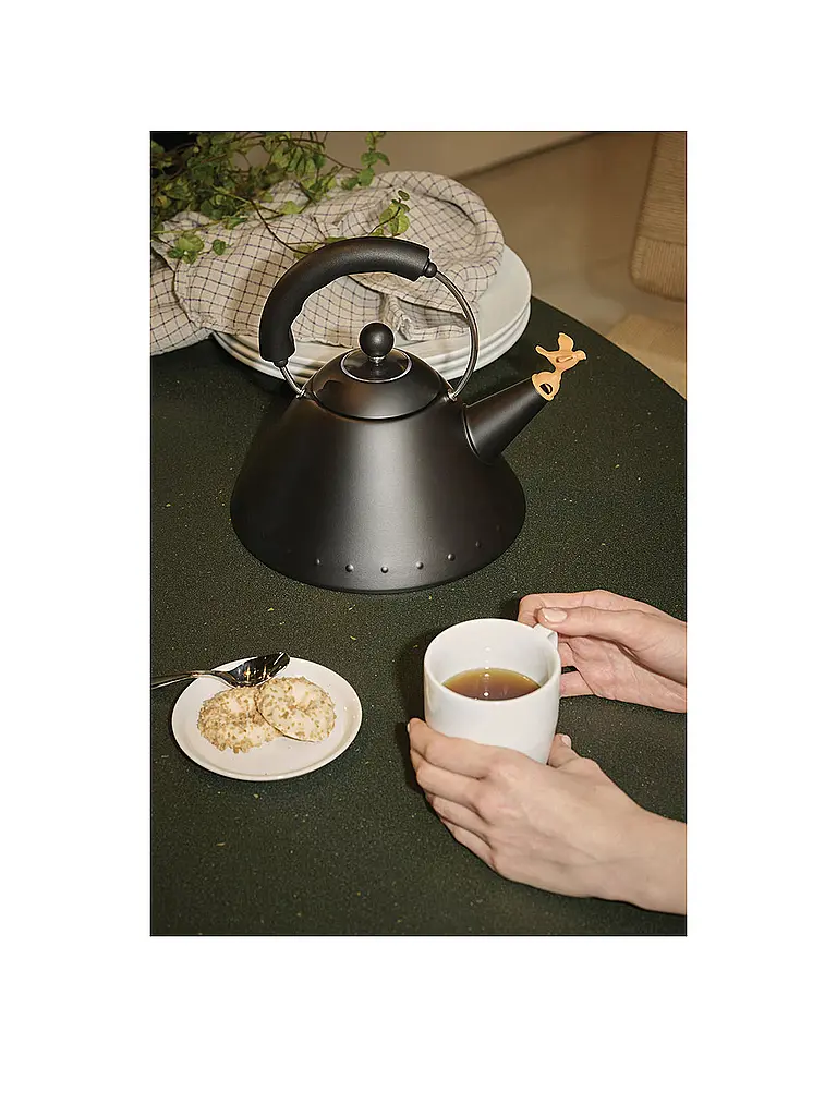 ALESSI | Bollitore 2l Michael Graves Nero | Nero