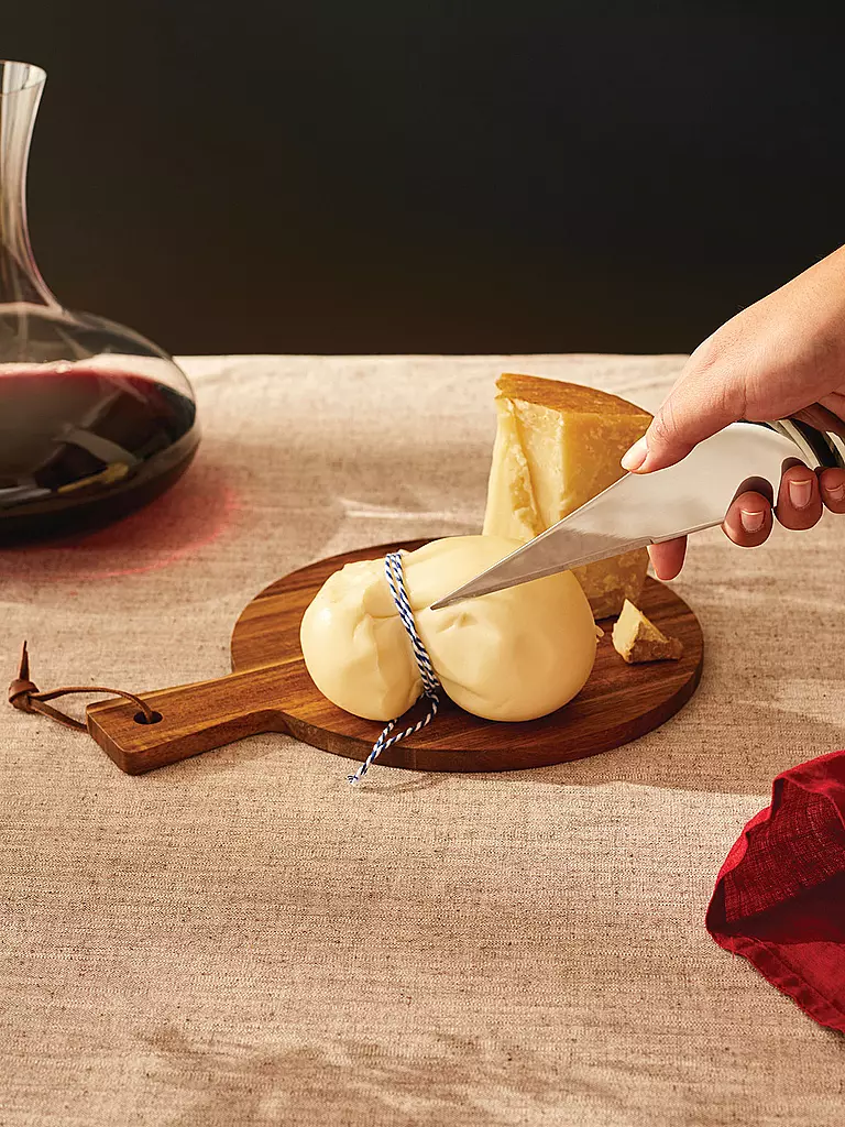 ALESSI | Coltello da formaggio "Antechinus" | Argento