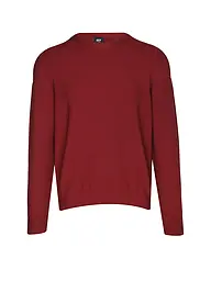 ALPHATAURI | Pullover | Rosso scuro