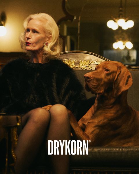 Un'elegante signora anziana con capelli biondo platino e un cappotto di pelliccia nero è seduta su un vecchio divano accanto a un grande cane marrone. La parola "DRYKORN" è visibile nella parte inferiore dell'immagine. L'illuminazione calda crea un'atmosfera lussuosa.