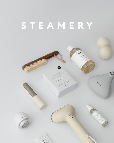 Disposizione piatta di vari articoli per la cura del bucato e dei vestiti, tra cui una spazzola di legno, un ferro da stiro a vapore, un rullo adesivo, uno spray detergente, una bottiglia di detersivo, palline di lana rotonde e fogli assorbicolore confezionati, tutti disposti su uno sfondo grigio chiaro.