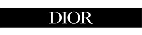 Sfondo nero rettangolare con la parola "DIOR" in maiuscolo bianco al centro.