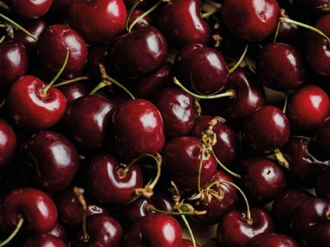 Un primo piano di numerose ciliegie rosse mature con gambi verdi. Le ciliegie hanno una lucentezza brillante che indica freschezza. Alcuni gambi sono visibili e creano un contrasto con le ricche tonalità rosse del frutto.