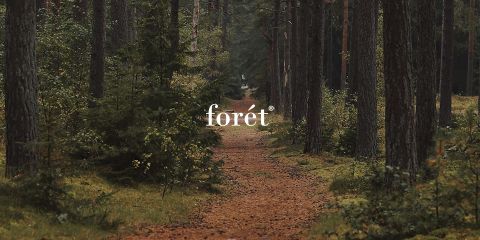 Un tranquillo sentiero nel bosco, circondato da alberi alti e fitti e da una vegetazione lussureggiante. Il terreno è ricoperto di foglie e l'atmosfera appare calma e invitante. La parola "forét" è ben visibile al centro dell'immagine.