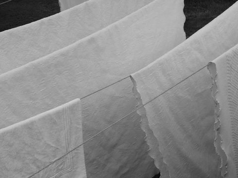 Immagine in bianco e nero di diversi lenzuoli appesi a stendini. I lenzuoli appaiono strutturati e sono drappeggiati parallelamente l'uno all'altro, creando un motivo di luci e ombre. Sullo sfondo si vede dell'erba.
