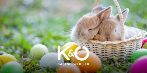 Zwei flauschige Häschen kuscheln in einem Weidenkorb auf einer Wiese, umgeben von bunten Ostereiern. Das Logo „K&Ö Kastner & Öhler“ ist über das Bild gelegt.