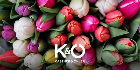 Eine Nahaufnahme eines bunten Straußes Tulpen in den Farben Rosa, Rot, Orange, Weiß und Lila. In der Mitte ist das Logo von K&Ö Kastner & Öhler eingeblendet.