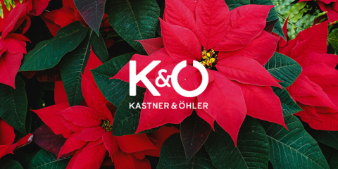 Rote Weihnachtssternblüten mit grünen Blättern umgeben das weiße „K&O“-Logo und den Text „KASTNER & ÖHLER“ in der Mitte.