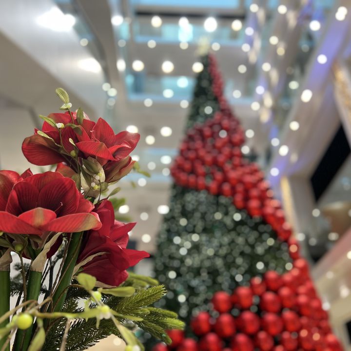 Fiori rossi in primo piano, sullo sfondo un grande albero di Natale con ornamenti rossi. La scena è in interni con luci a soffitto luminose.