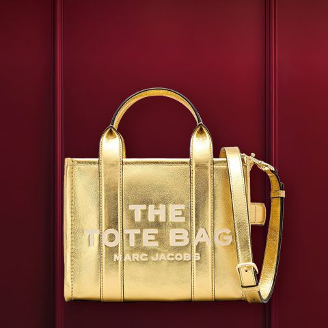 Una borsa strutturata in metallo con manici su uno sfondo bordeaux. Sopra c'è la scritta "BORSA DEI DESIDERI".