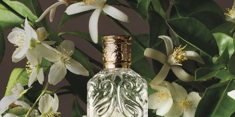 Flacone di profumo con la scritta "ETRO" e un design a pigna, circondato da decorazioni artistiche: una sfera, un uovo con una farfalla, una pietra, una foglia, noci, una mela dorata e una mano scolpita. In alto, il logo ETRO su uno sfondo di cielo blu e mare.