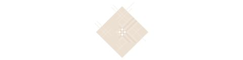 Rombo beige con linee diagonali intersecanti e piccoli quadrati bianchi al centro, su sfondo grigio chiaro.