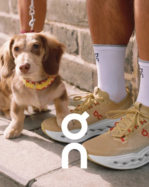 Due sneaker del marchio "On" sono presentate su un ramo strutturato di fronte a un cielo colorato al tramonto. Una scarpa è nera con accenti grigi e l'altra è bianca con dettagli più scuri. Sotto è visibile il logo "On".