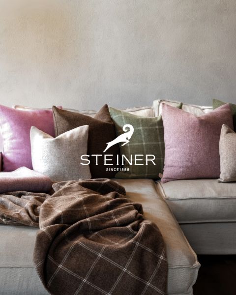 Un accogliente soggiorno con un divano grigio, una coperta blu, un vassoio di legno con tazza e ciotola, una lampada da terra e pareti rivestite in legno. In basso è visibile il logo "STEINER".