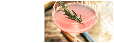 Un cocktail rosato, guarnito con un rametto di rosmarino in un bicchiere coupe, in cui si riflette la luce del sole.