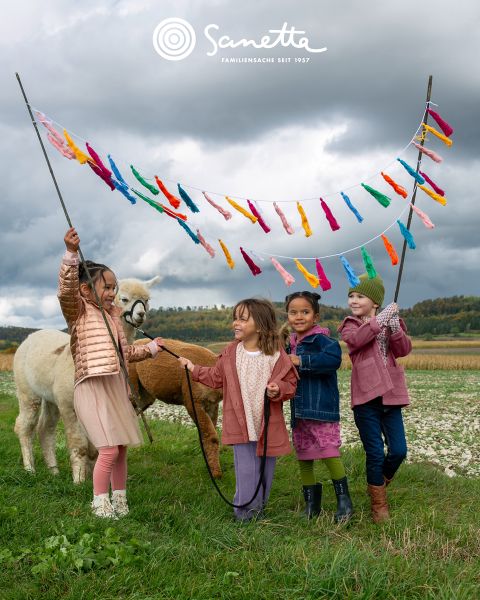 Quattro bambini sorridenti sono in piedi su un prato e tengono dei pali tra i quali sono tese delle strisce di tessuto colorato. Due alpaca sono nelle vicinanze e sullo sfondo si vedono un cielo nuvoloso e degli alberi. In alto è scritto "Sanetta".