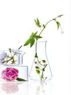 Un fiore rosa e cubetti di ghiaccio in una ciotola di vetro accanto a una bottiglia trasparente con acqua e un tralcio verde, il tutto su uno sfondo bianco.