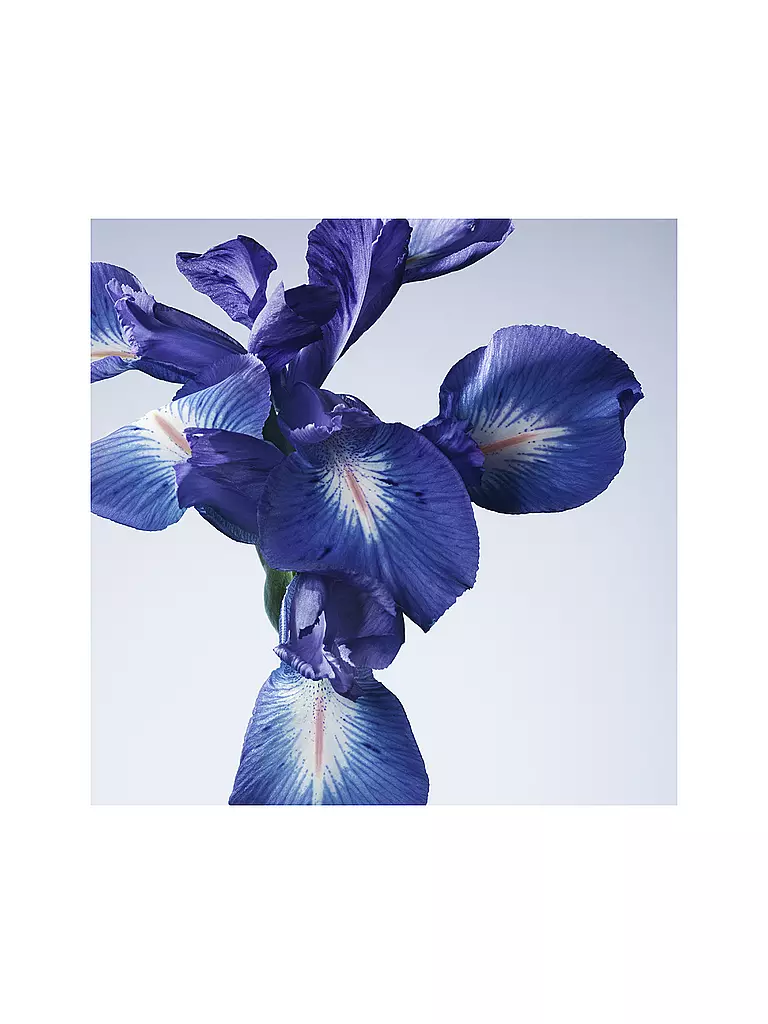 ARMANI/PRIVÉ | Iris Bleu Eau de Toilette 50ml | Senza colore