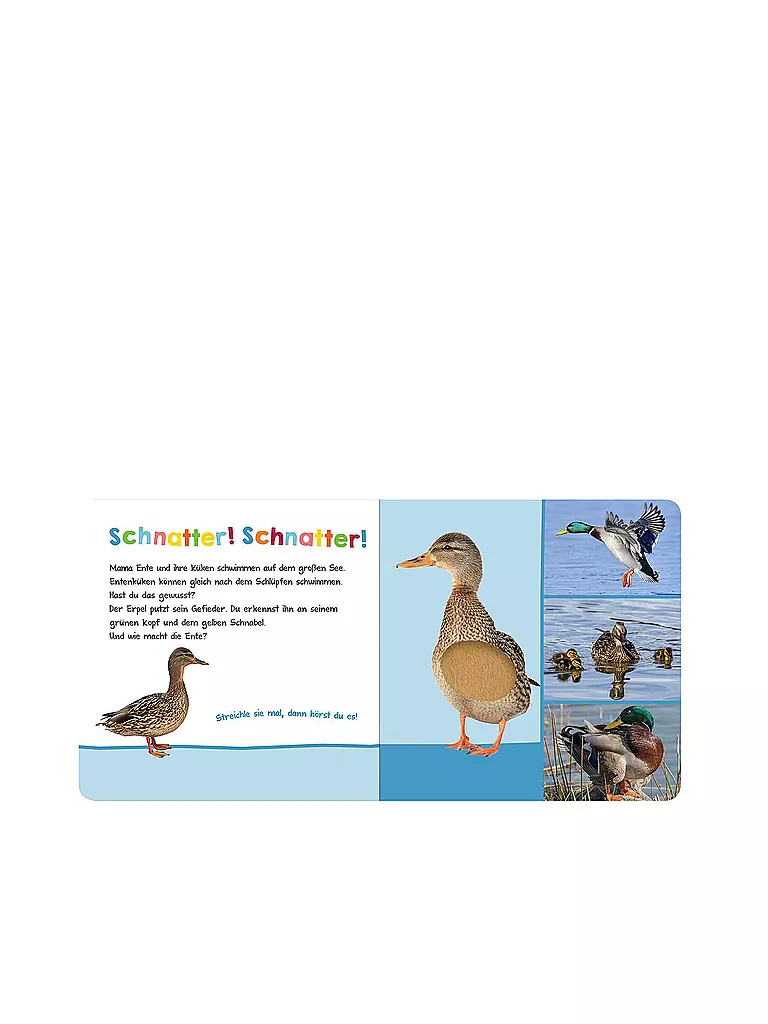 ARS EDITION VERLAG | Ascolta, chi può essere? | Senza colore