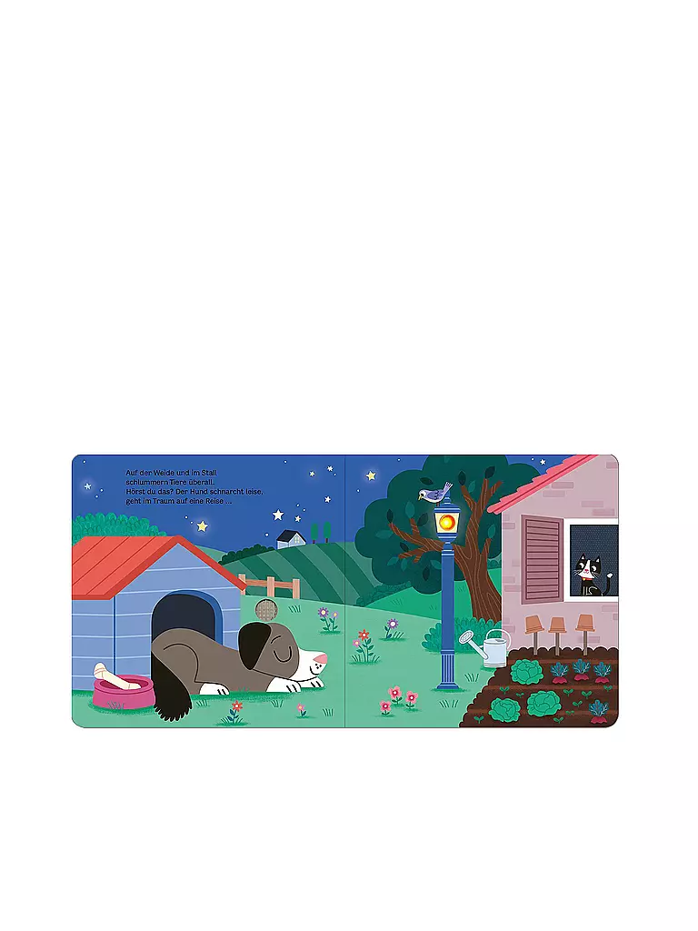 ARS EDITION VERLAG | Buch - Il mio libro sonoro lampeggiante - Buonanotte, fattoria! | Senza colore