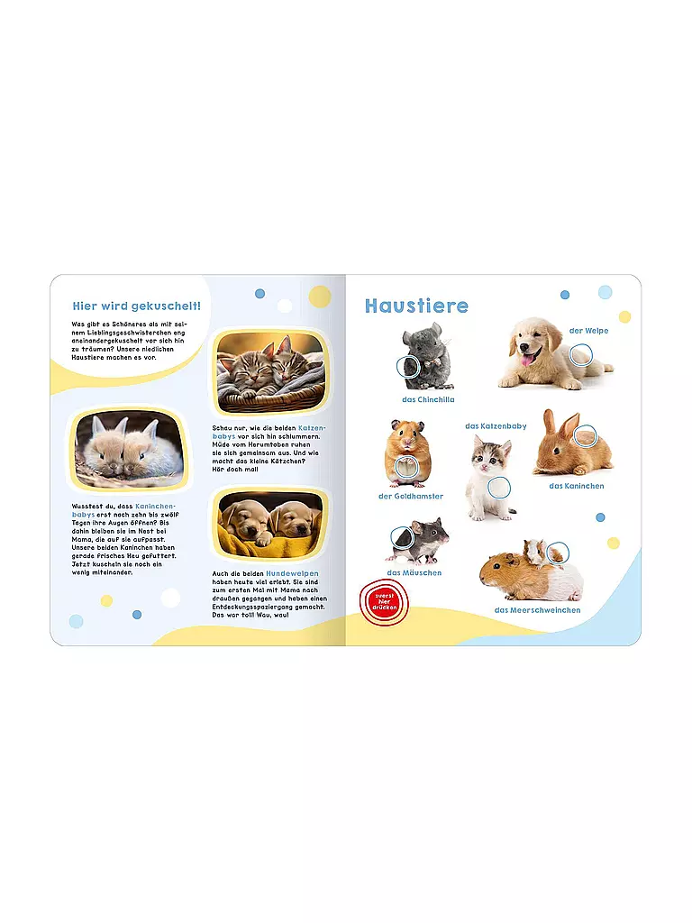 ARS EDITION VERLAG | Il mio grande libro sonoro - Cuccioli di animali | Senza colore
