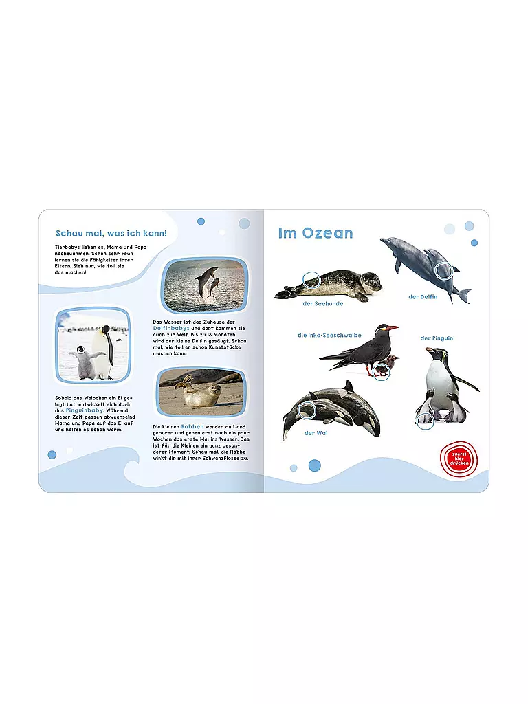 ARS EDITION VERLAG | Il mio grande libro sonoro - Cuccioli di animali | Senza colore
