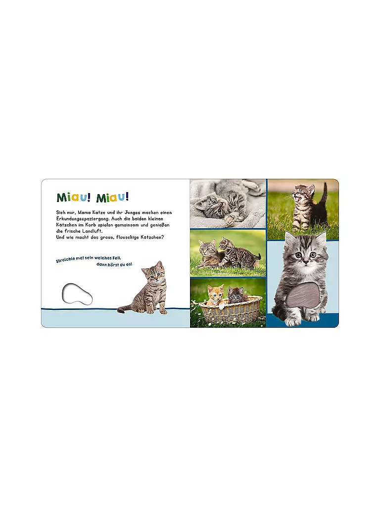 ARS EDITION VERLAG | Libro - Ascolta, chi può essere? - I miei primi animali | Senza colore