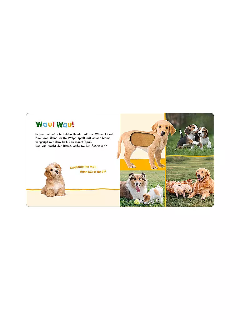 ARS EDITION VERLAG | Libro - Ascolta, chi può essere? - I miei primi animali | Senza colore