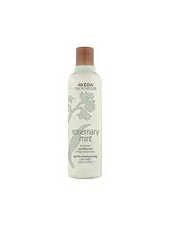 AVEDA | Rosemary Mint Balsamo Leggero 250ml | Senza colore