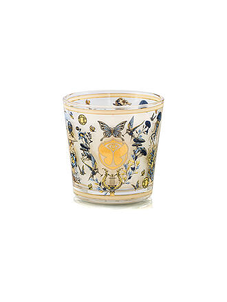 BAOBAB COLLECTION | Candela My First Baobab 190g Tomorrowland