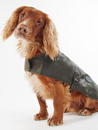 BARBOUR | Cappottino per cani cerato