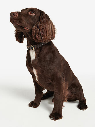 BARBOUR | Collare per cani Tartan