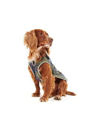 BARBOUR | Cappotto per cani