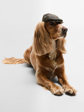BARBOUR | Cappello per cani
