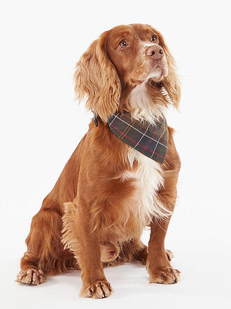 BARBOUR | Foulard per cani