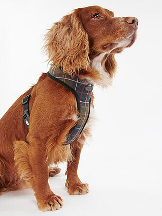 BARBOUR | Pettorina per cani