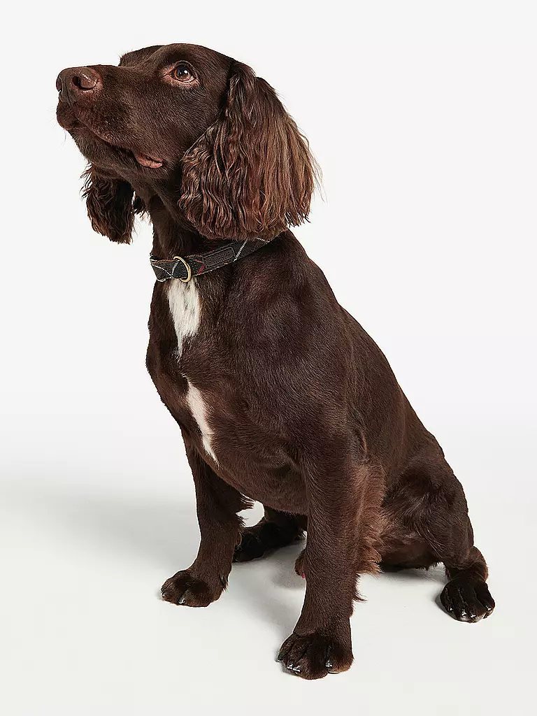 BARBOUR | Collare per cani Tartan | Oliva