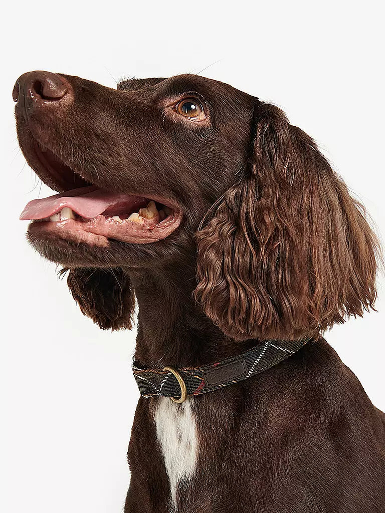 BARBOUR | Collare per cani Tartan | 