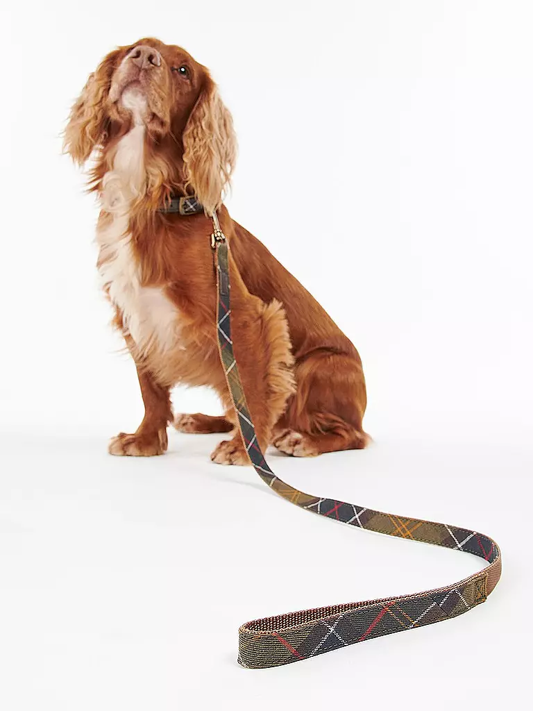 BARBOUR | Guinzaglio per cani Tartan | Oliva
