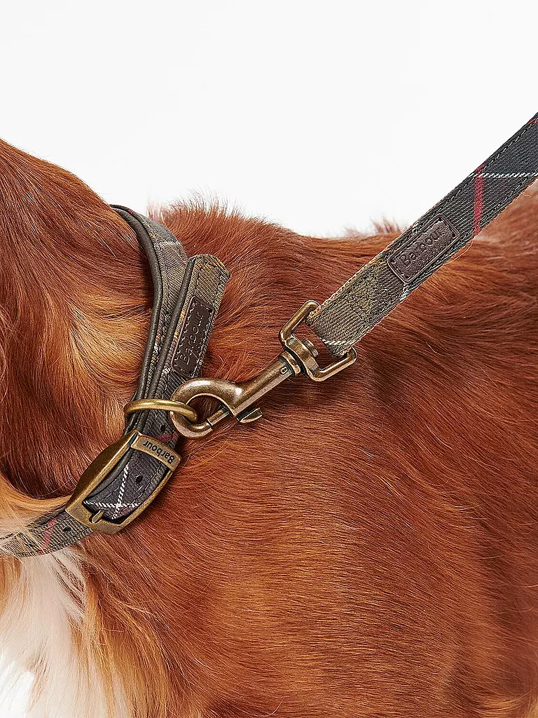 BARBOUR | Guinzaglio per cani Tartan | 