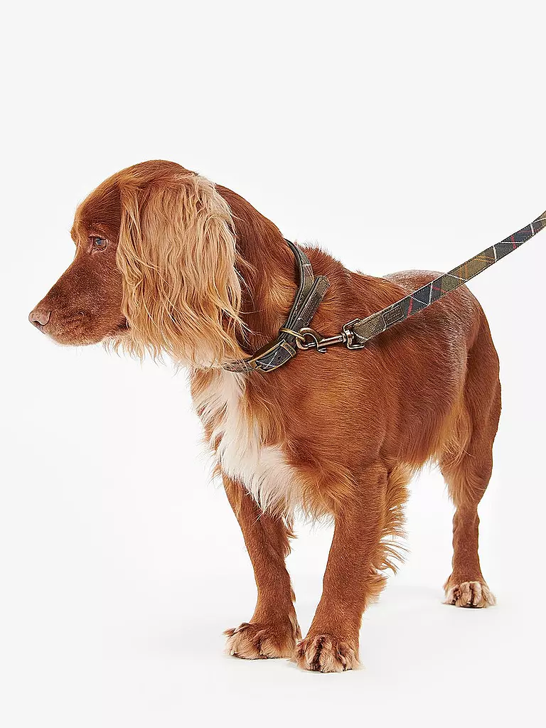 BARBOUR | Guinzaglio per cani Tartan | 