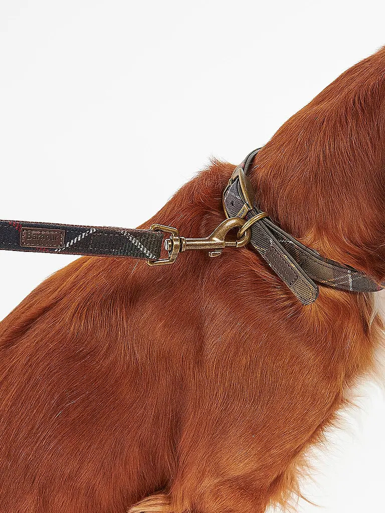 BARBOUR | Guinzaglio per cani | 