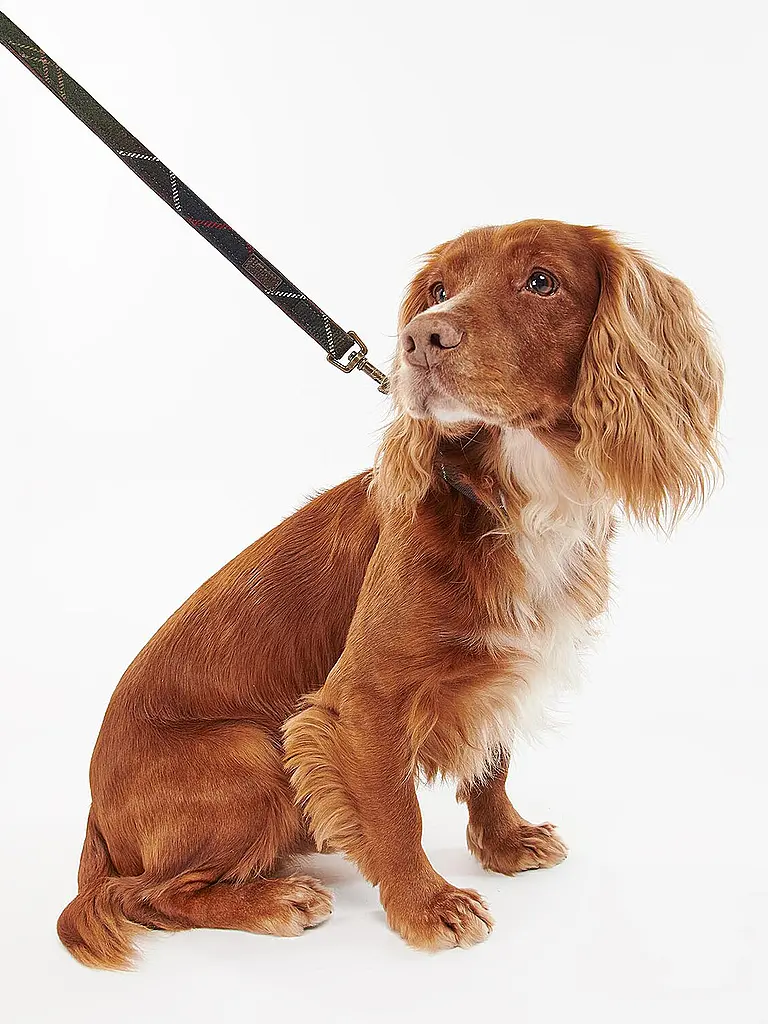 BARBOUR | Guinzaglio per cani | 