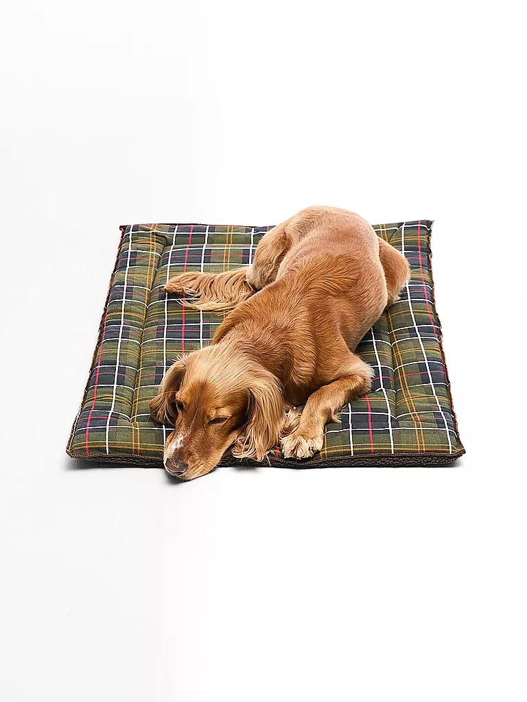 BARBOUR | Tappetino per cani | Oliva